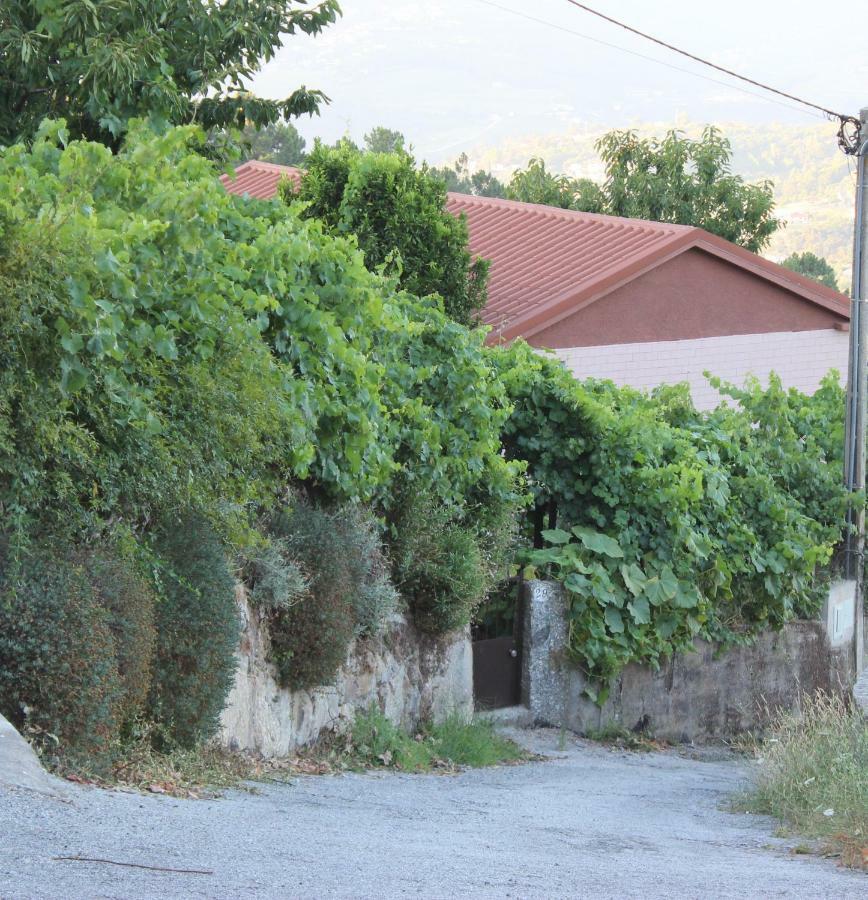 Alojamento Da Ribeirinha Carquere المظهر الخارجي الصورة